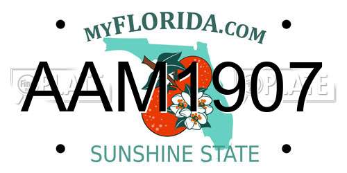 AAM1907 Florida License Plate