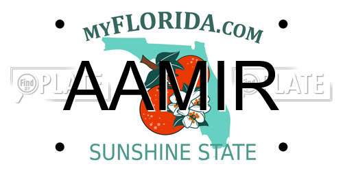 AAMIR Florida License Plate