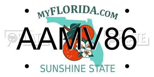 AAMV86 Florida License Plate