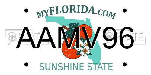 AAMV96 Florida License Plate