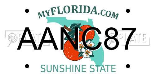 AANC87 Florida License Plate