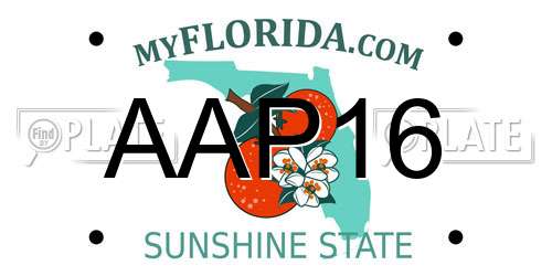 AAP16 Florida License Plate