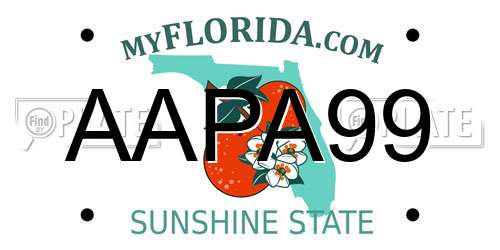 AAPA99 Florida License Plate