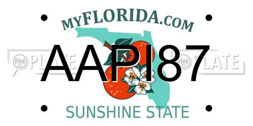 AAPI87 Florida License Plate