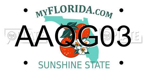 AAQG03 Florida License Plate