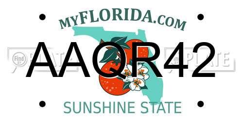 AAQR42 Florida License Plate