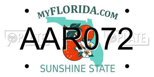 AAR072 Florida License Plate