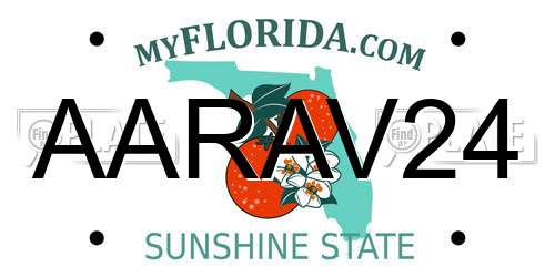 AARAV24 Florida License Plate