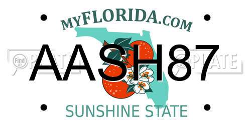AASH87 Florida License Plate