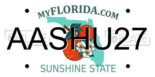 AASHU27 Florida License Plate