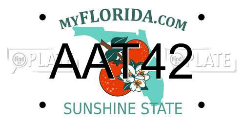 AAT42 Florida License Plate