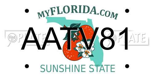 AATV81 Florida License Plate