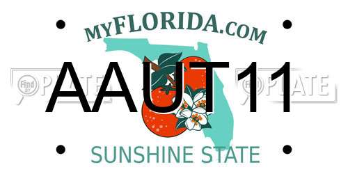 AAUT11 Florida License Plate