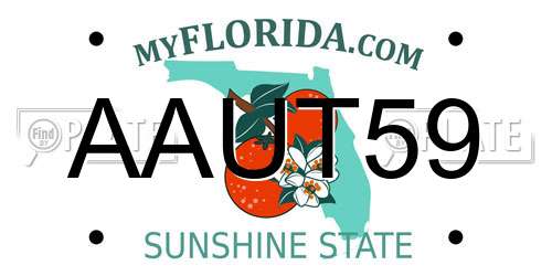AAUT59 Florida License Plate
