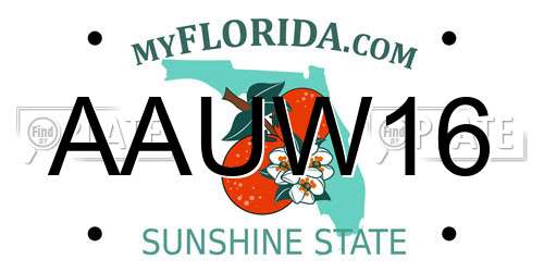 AAUW16 Florida License Plate