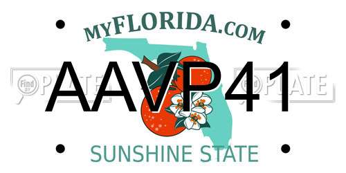 AAVP41 Florida License Plate