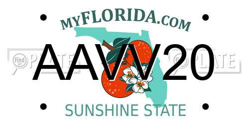 AAVV20 Florida License Plate