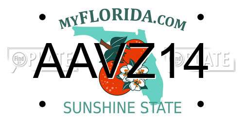 AAVZ14 Florida License Plate