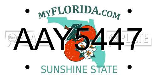 AAY5447 Florida License Plate