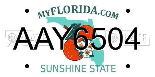 AAY6504 Florida License Plate