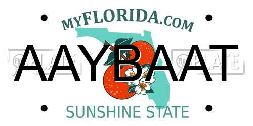 AAYBAAT Florida License Plate