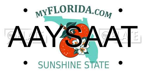 AAYSAAT Florida License Plate