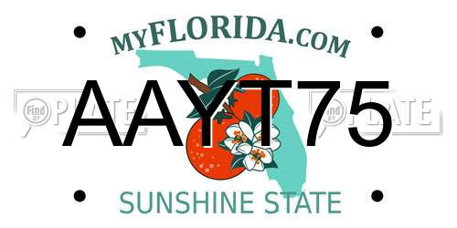 AAYT75 Florida License Plate