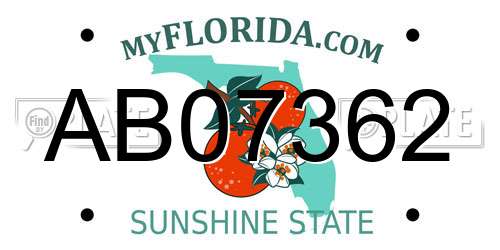 AB07362 Florida License Plate