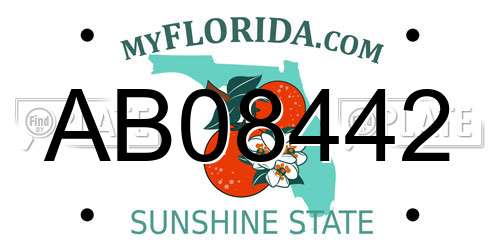 AB08442 Florida License Plate