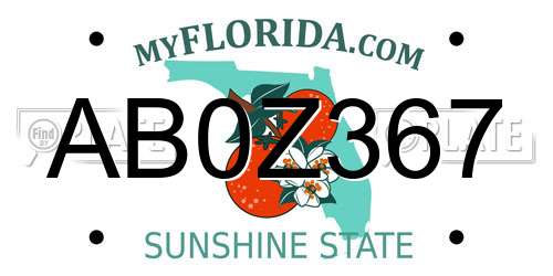 AB0Z367 Florida License Plate