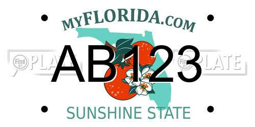 AB123 Florida License Plate