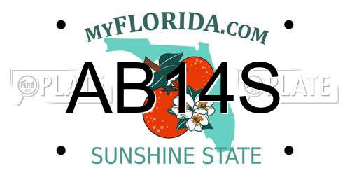AB14S Florida License Plate