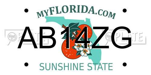 AB14ZG Florida License Plate