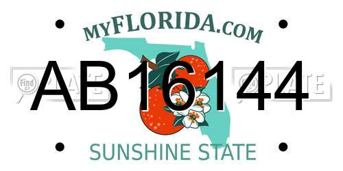AB16144 Florida License Plate