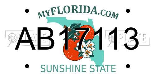AB17113 Florida License Plate