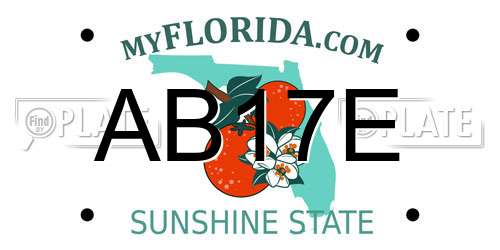 AB17E Florida License Plate