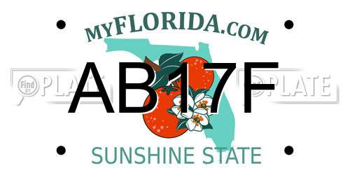 AB17F Florida License Plate