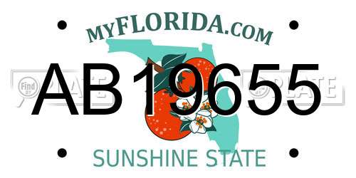 AB19655 Florida License Plate