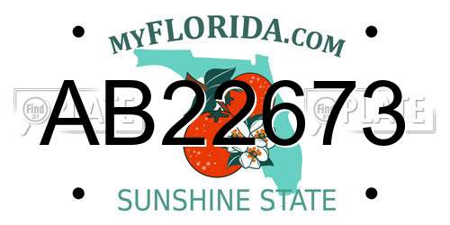 AB22673 Florida License Plate