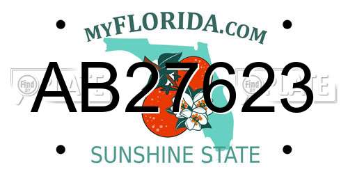 AB27623 Florida License Plate