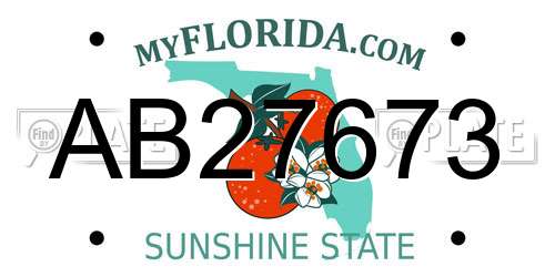 AB27673 Florida License Plate