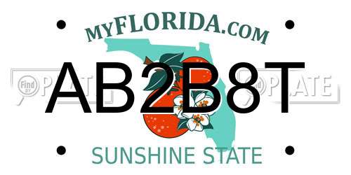 AB2B8T Florida License Plate