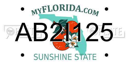 AB2I125 Florida License Plate