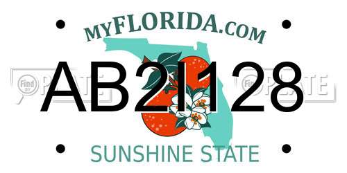 AB2I128 Florida License Plate