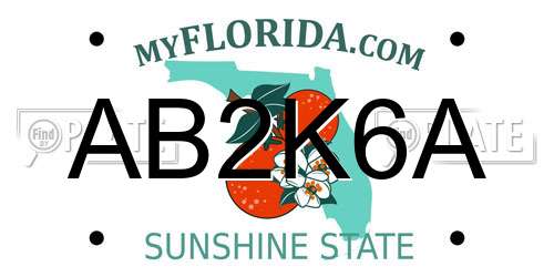 AB2K6A Florida License Plate