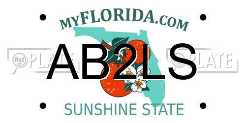AB2LS Florida License Plate