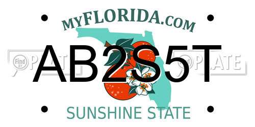 AB2S5T Florida License Plate