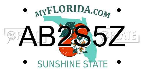 AB2S5Z Florida License Plate
