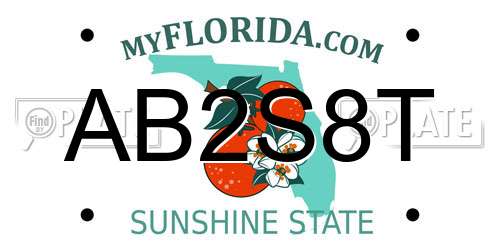 AB2S8T Florida License Plate