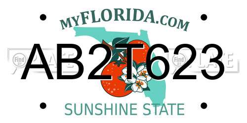 AB2T623 Florida License Plate